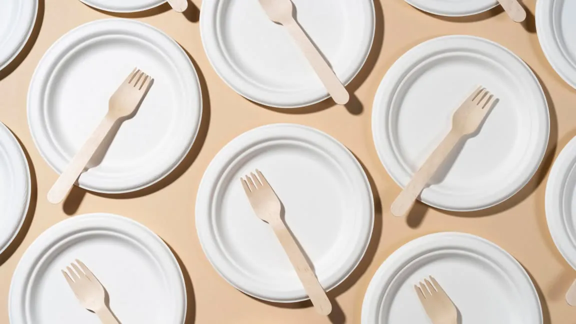 Why Bagasse Tableware Is Popular